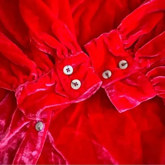 Anthropologie PILCRO Red Shirt Crushed Velvet Top Blouse Long Puff Sleeves XL - Picture 7 of 15